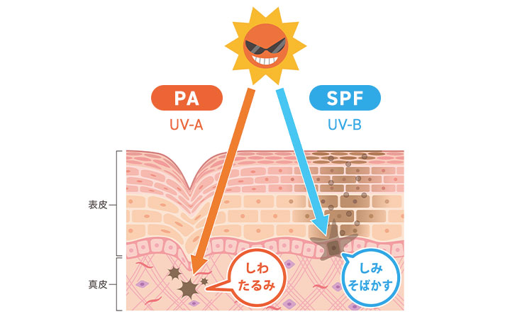 SPFとPAって何？