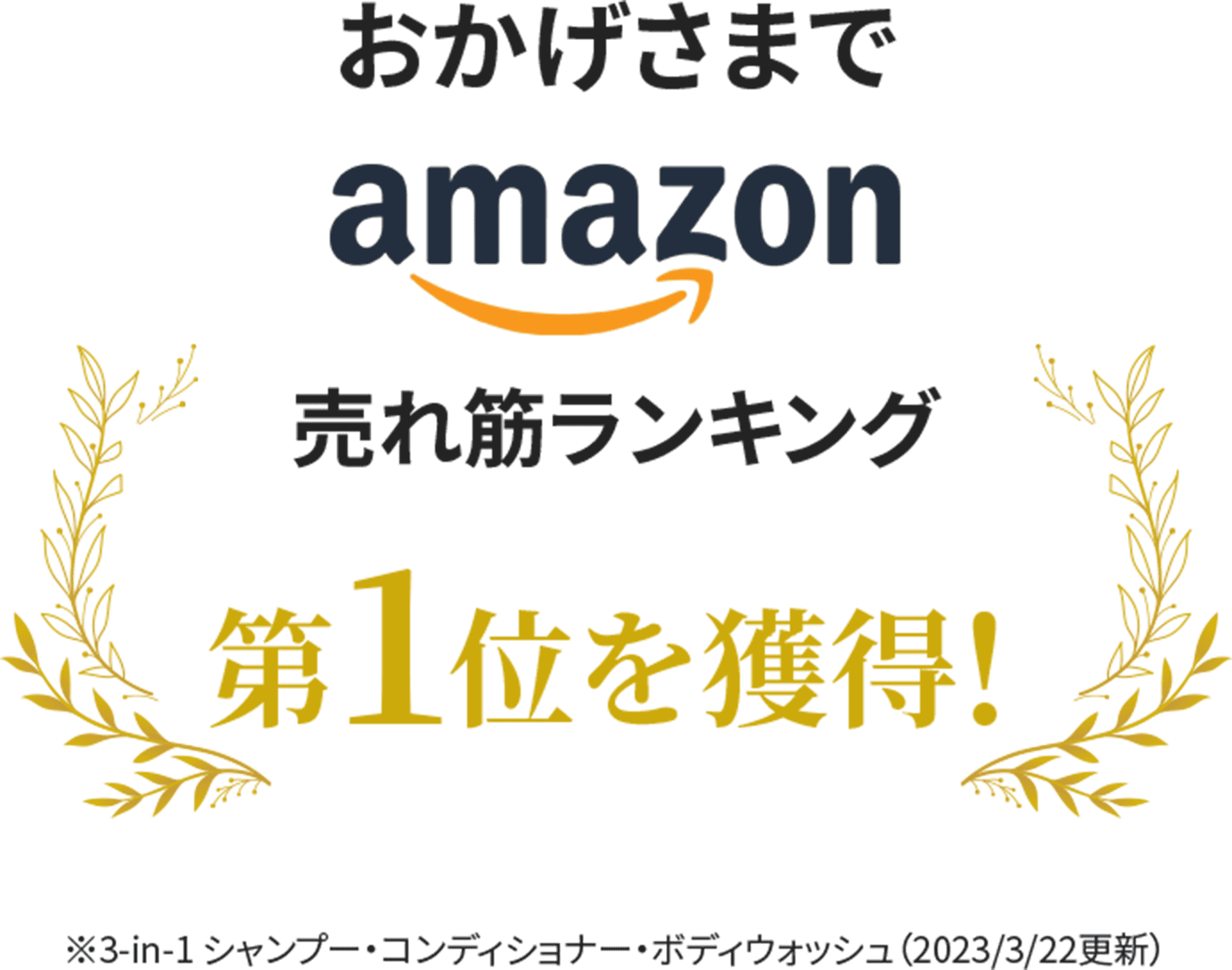 AMAZON売れ筋ランキング第一位を獲得