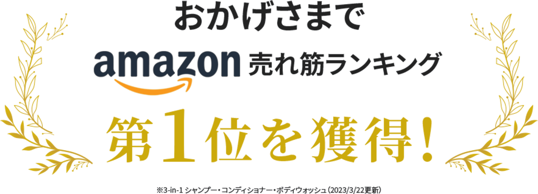 AMAZON売れ筋ランキング第一位を獲得