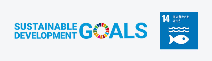 SDGs