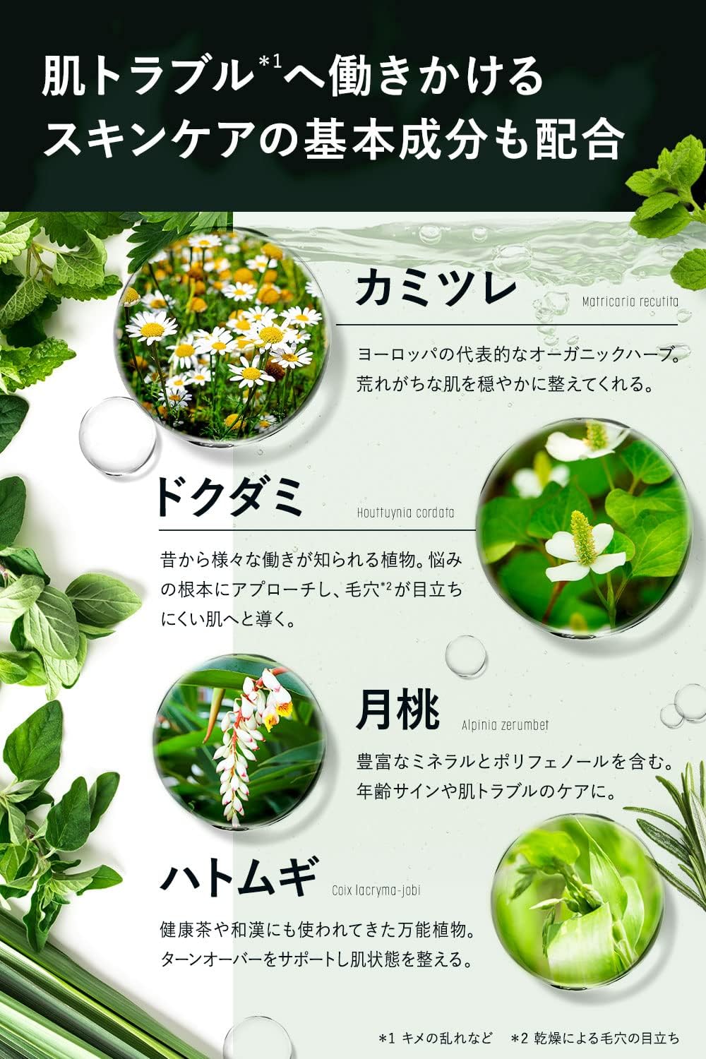 スキンケアプレミアムローション